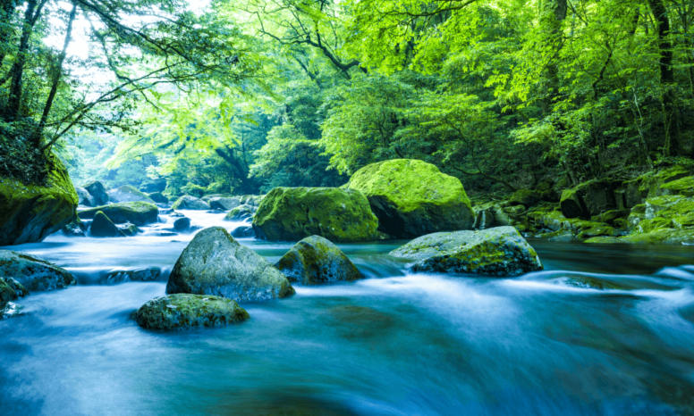 知心会について