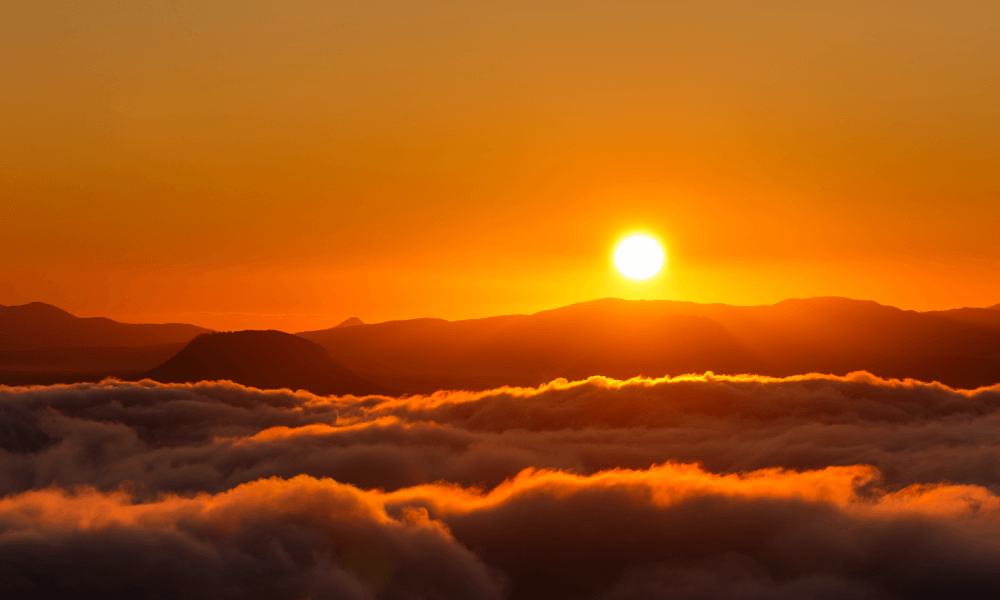 七情の存在を知る