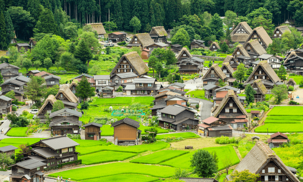 オンラインサロン知心村