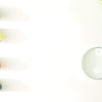 した事としなかった事