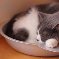 調子が悪い時は