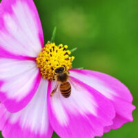 良い関係の築き方