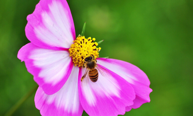 良い関係の築き方