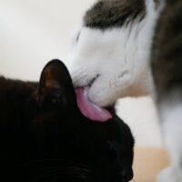 一番大事なのは