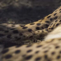 モチベーション