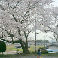 百聞は一見にしかず