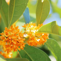 タイムスリップ